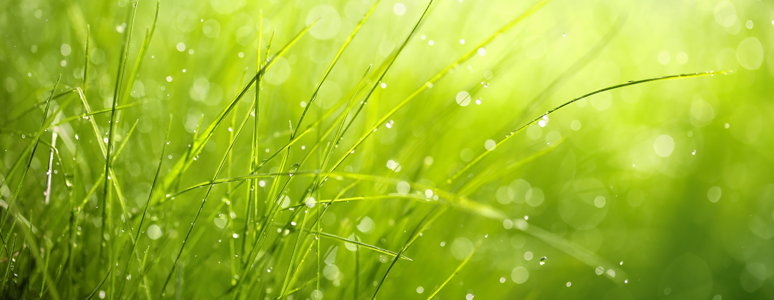 Gartenberegnungsanlagen